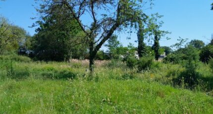 Saint-Viaud Terrain à bâtir -  Maisons Tradilignes