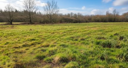Pornic Terrain à bâtir -  Maisons Tradilignes