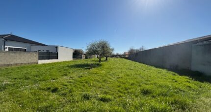 Saint-Hilaire-de-Chaléons Terrain à bâtir -  Maisons Tradilignes