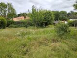 Terrain à Sainte-Pazanne  Maisons Tradilignes