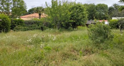 Sainte-Pazanne Terrain à bâtir -  Maisons Tradilignes