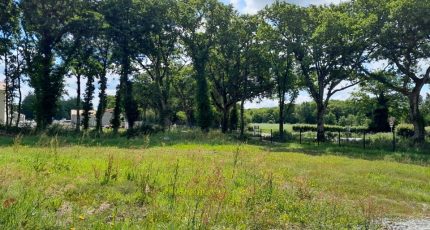 Saint-Michel-Chef-Chef Maison neuve - 2592198-11870annonce120260729aXcmx.jpeg Maisons Tradilignes