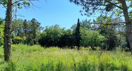 Rouans Terrain à bâtir - 2597617-11870annonce120260806Z8Gc4.jpeg Maisons Tradilignes