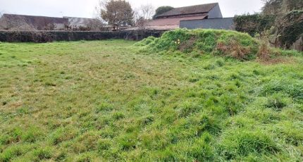 Saint-Hilaire-de-Chaléons Maison neuve -  Maisons Tradilignes