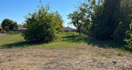 Saint-Philbert-de-Grand-Lieu Maison neuve - 2658423-11940annonce120261001ywG4O.jpeg Maisons Tradilignes