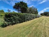 Terrain à bâtir à La Plaine-sur-Mer (44770) 2583236-11870annonce1202607164PC1l.jpeg Maisons Tradilignes