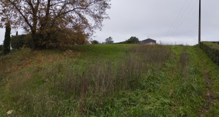 Port-Saint-Père Terrain à bâtir - 2672874-11870annonce120261012sd5IS.jpeg Maisons Tradilignes