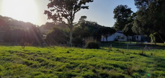 Terrain à bâtir à Saint-Père-en-Retz, Pays de la Loire